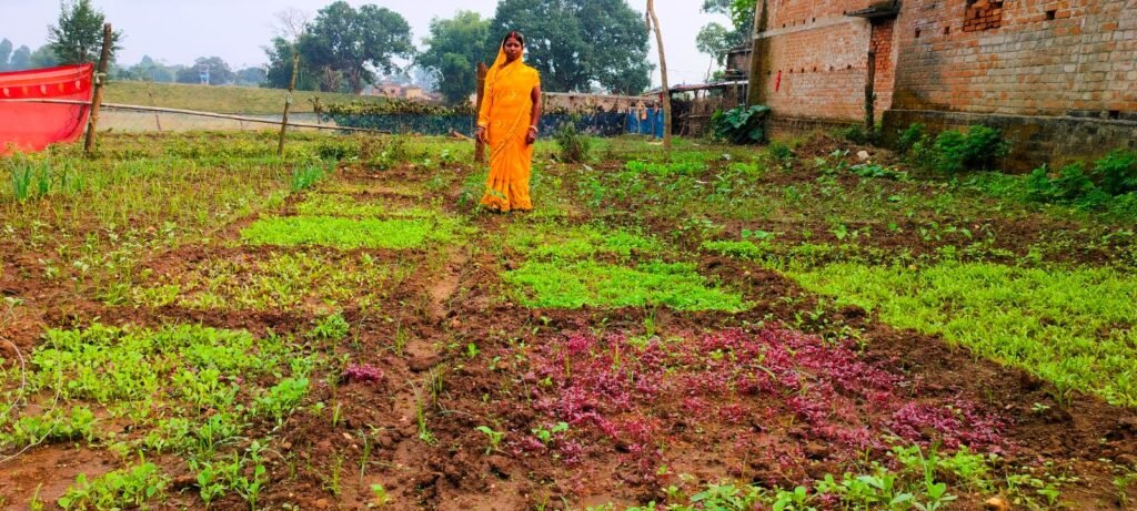 Kitchen Garden