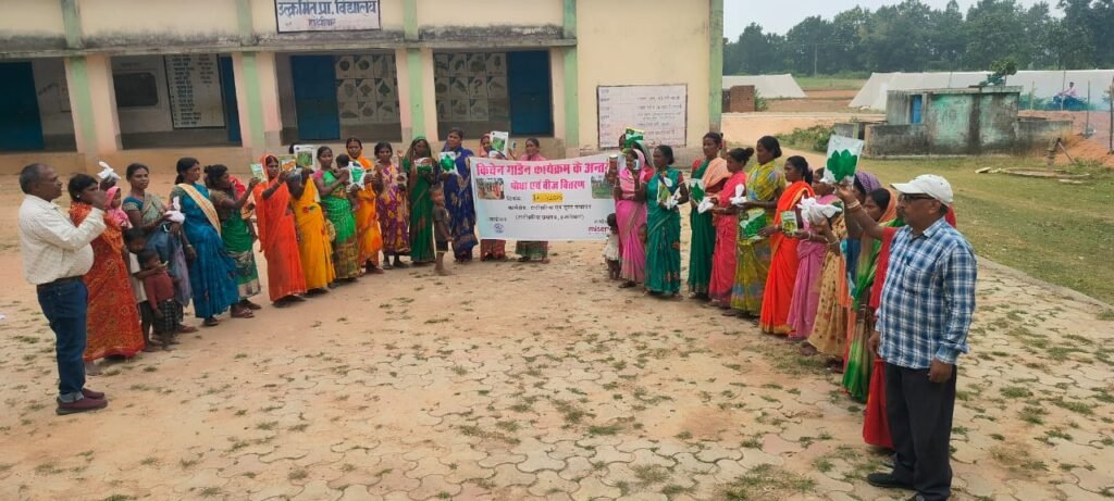 Kitchen garden seeds distribution